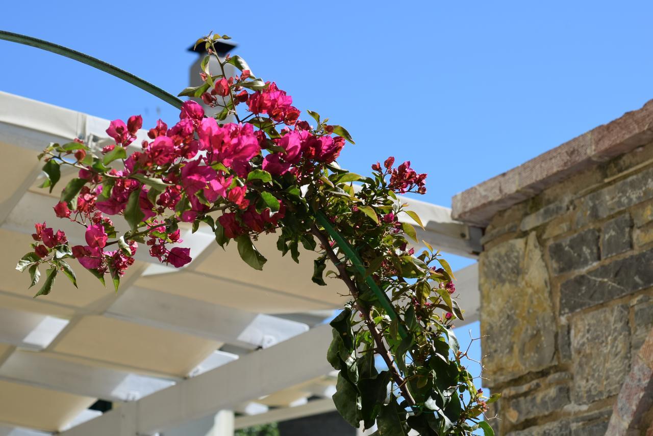 Apartament Cozy Residences In The Center Of Village - Lydia Lithos- Volissos